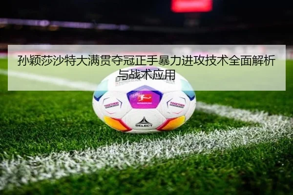 sun-ying-sha-sha-te-da-man-guan-duo-guan-zheng-shou-bao-li-jin-gong-ji-shu-quan-mian-jie-xi-yu-zhan-shu-ying-yong-3-698.jpg
