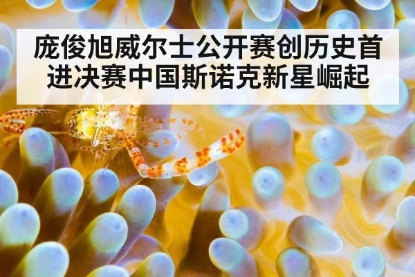 庞俊旭威尔士公开赛创历史首进决赛中国斯诺克新星崛起